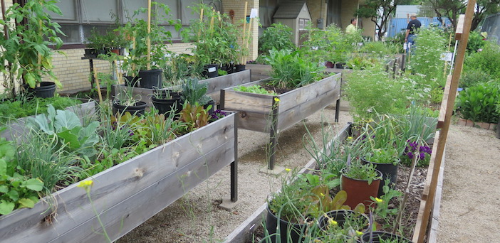 Multiple Careers Magnet&#8217;s plant sale helps grow its gardening program
