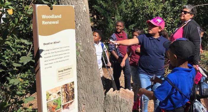 Harry Stone students enjoy eye-opening trip to the Dallas Arboretum