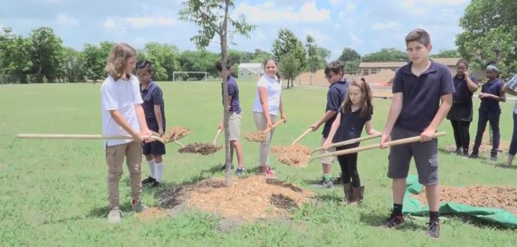 Se espera poder “refrescar” al plantel de Dan D. Rogers Elementary School con parque nuevo lleno de arboles