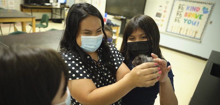 Average Dallas ISD Teacher Salary Is Now More Than 64 000 Under The 